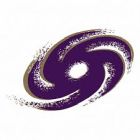 Frankfurt Galaxy Logo