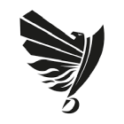 Raiders Tirol Logo